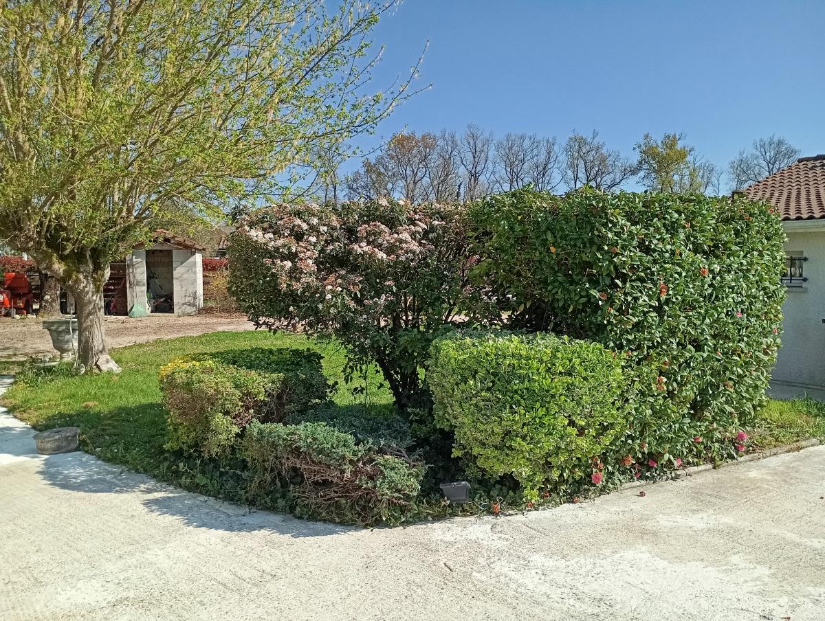 Chantier d'entretien de jardin réalisé par Le Jardin de Yoann, paysagiste du réseau Factotum, près de Les Billaux