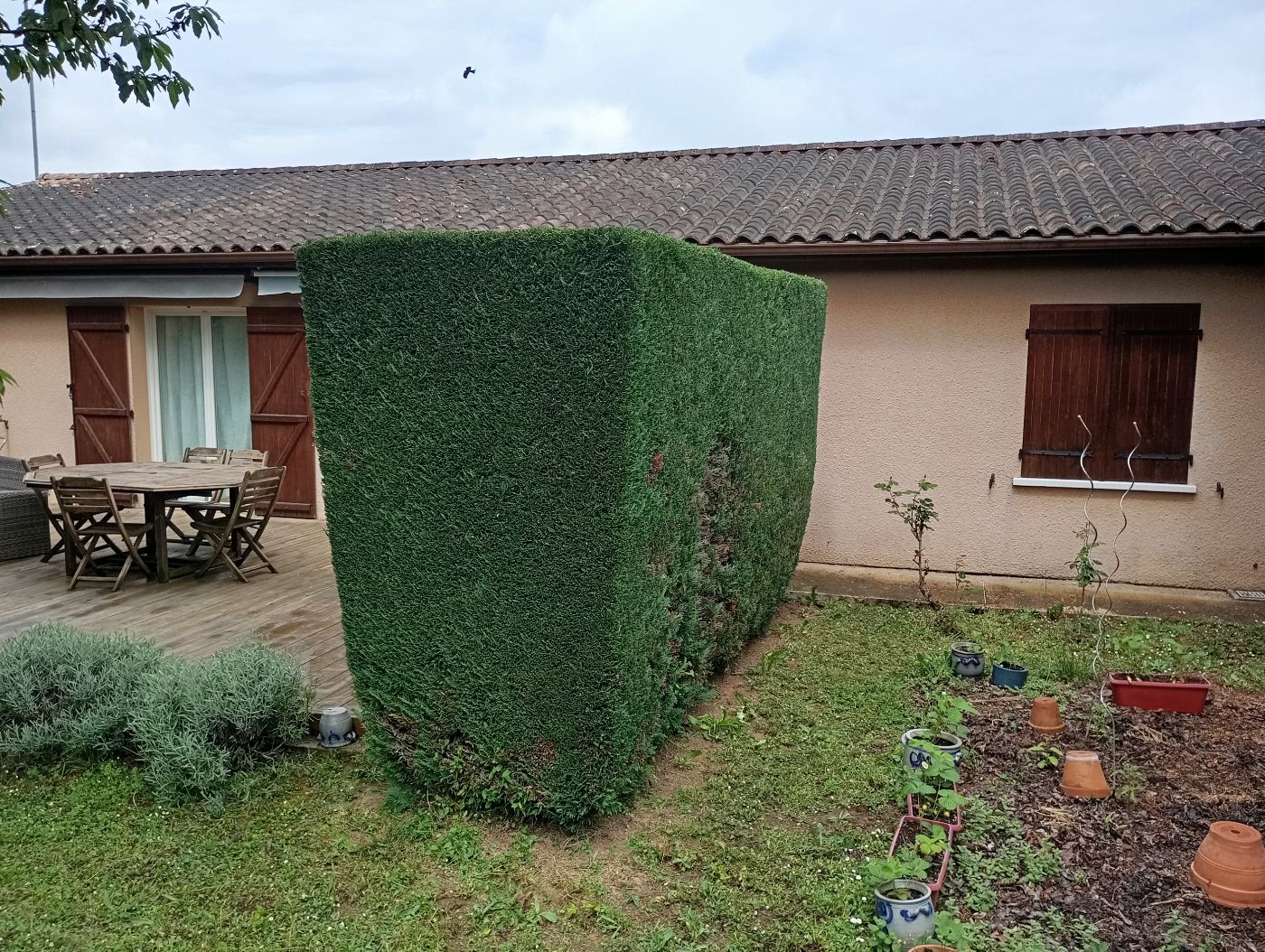 Taille haie, Saint-Quentin-de-Baron, réalisé par Le Jardin de Yoann