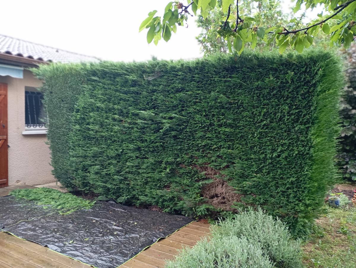 Chantier d'entretien de jardin réalisé par Le Jardin de Yoann, paysagiste du réseau Factotum, près de Les Billaux
