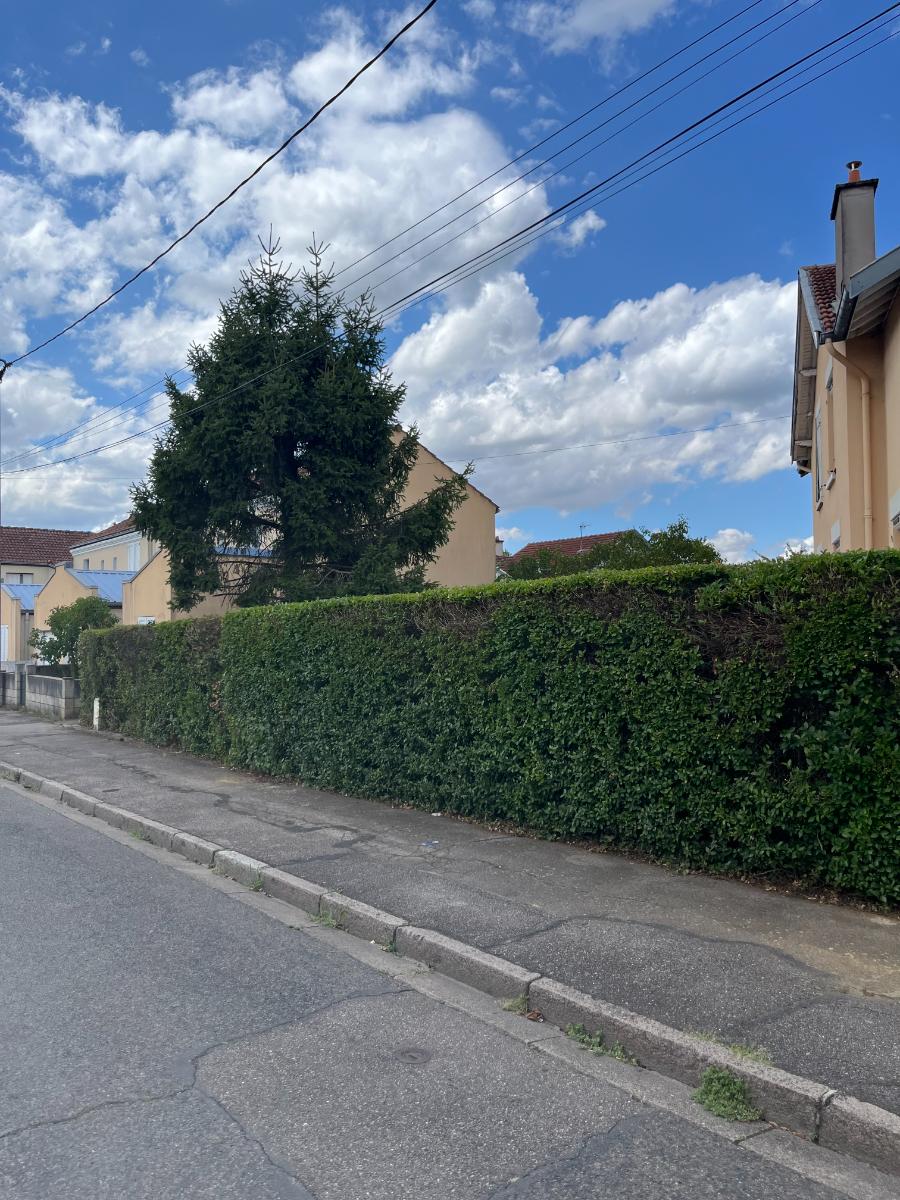 Chantier d'entretien de jardin réalisé par Lefebvre Paysage, paysagiste du réseau Factotum, près de Nancy