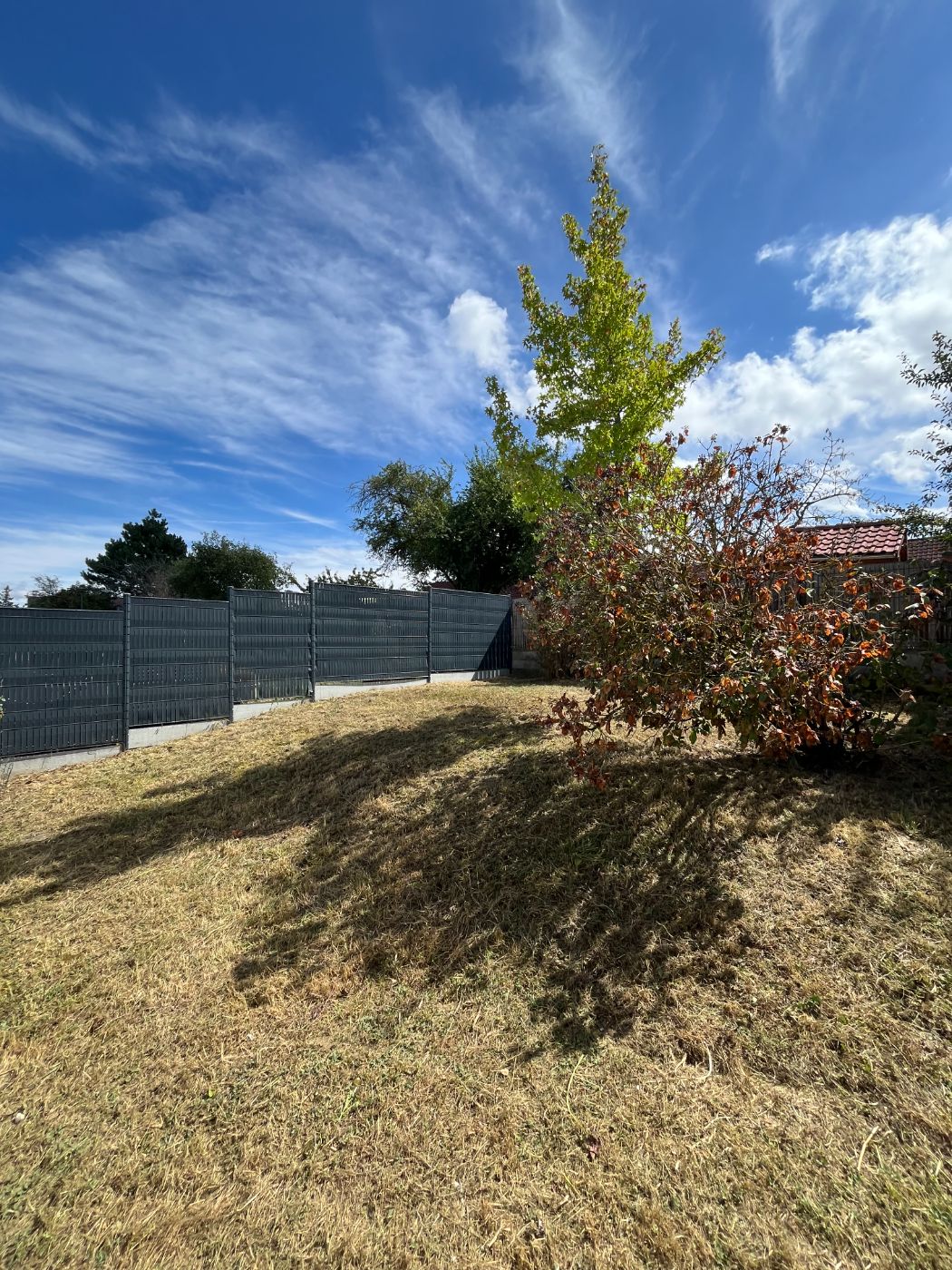Nettoyage d'une terrasse et débroussaillage d'un jardin avec évacuation des déchets verts, Saulxures-lès-Nancy, réalisé par Lefebvre Paysage