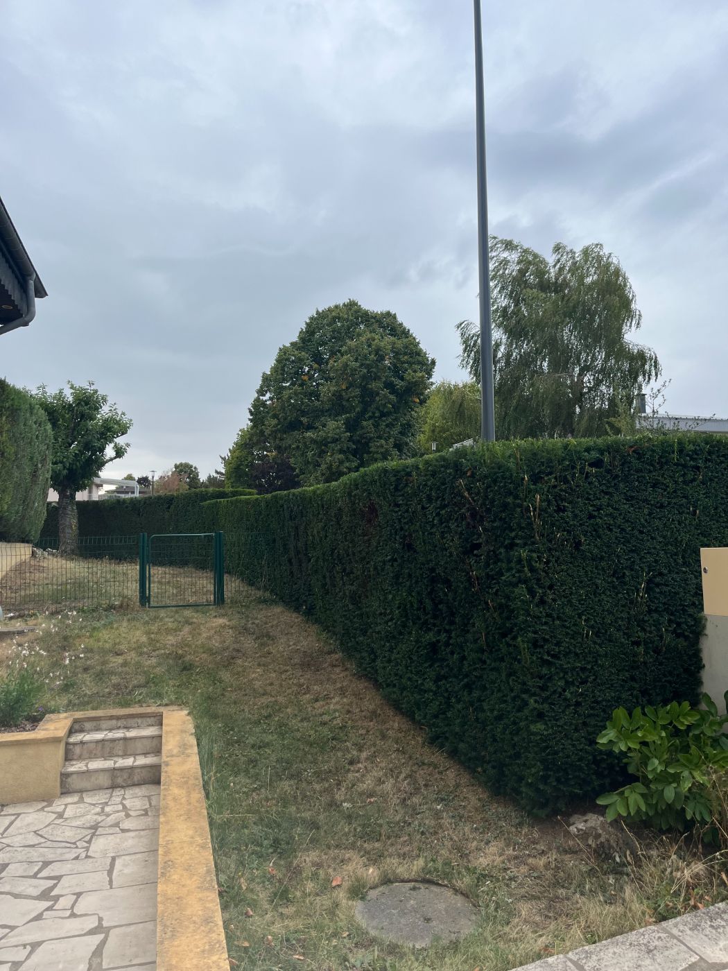 Taille et mise en forme d’une haie d’ifs, avec évacuation des déchets verts, Villers-lès-Nancy, réalisé par Lefebvre Paysage