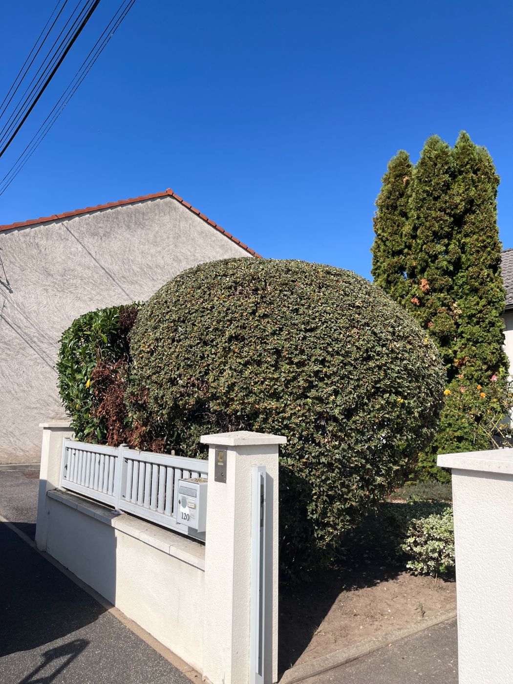Remise en état paysagère : taille de haies et taille architecturale globale, Flavigny-sur-Moselle, réalisé par Lefebvre Paysage