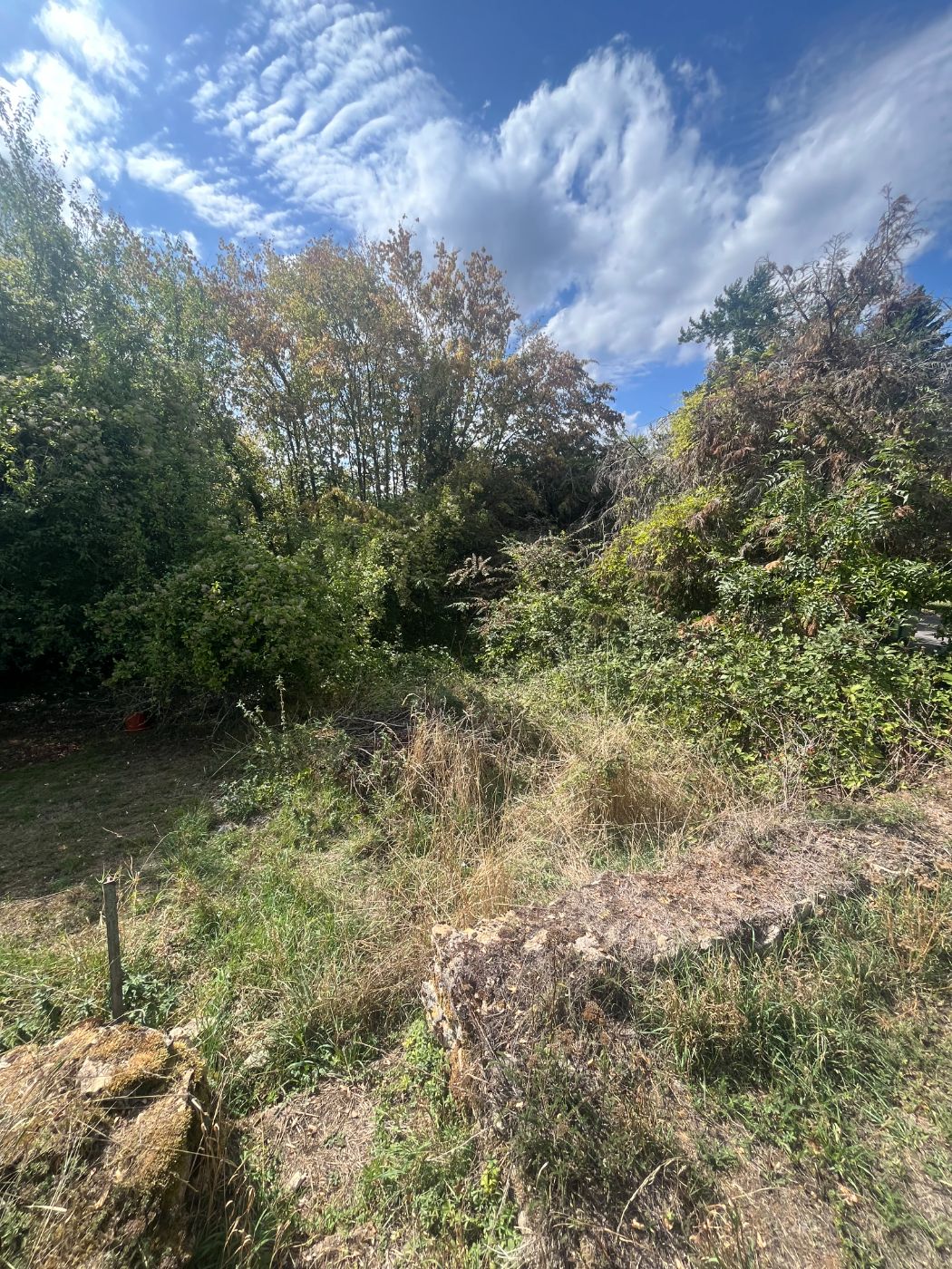 Remise en état et débroussaillage complet d'un terrain en friche, Lay-Saint-Christophe, réalisé par Lefebvre Paysage