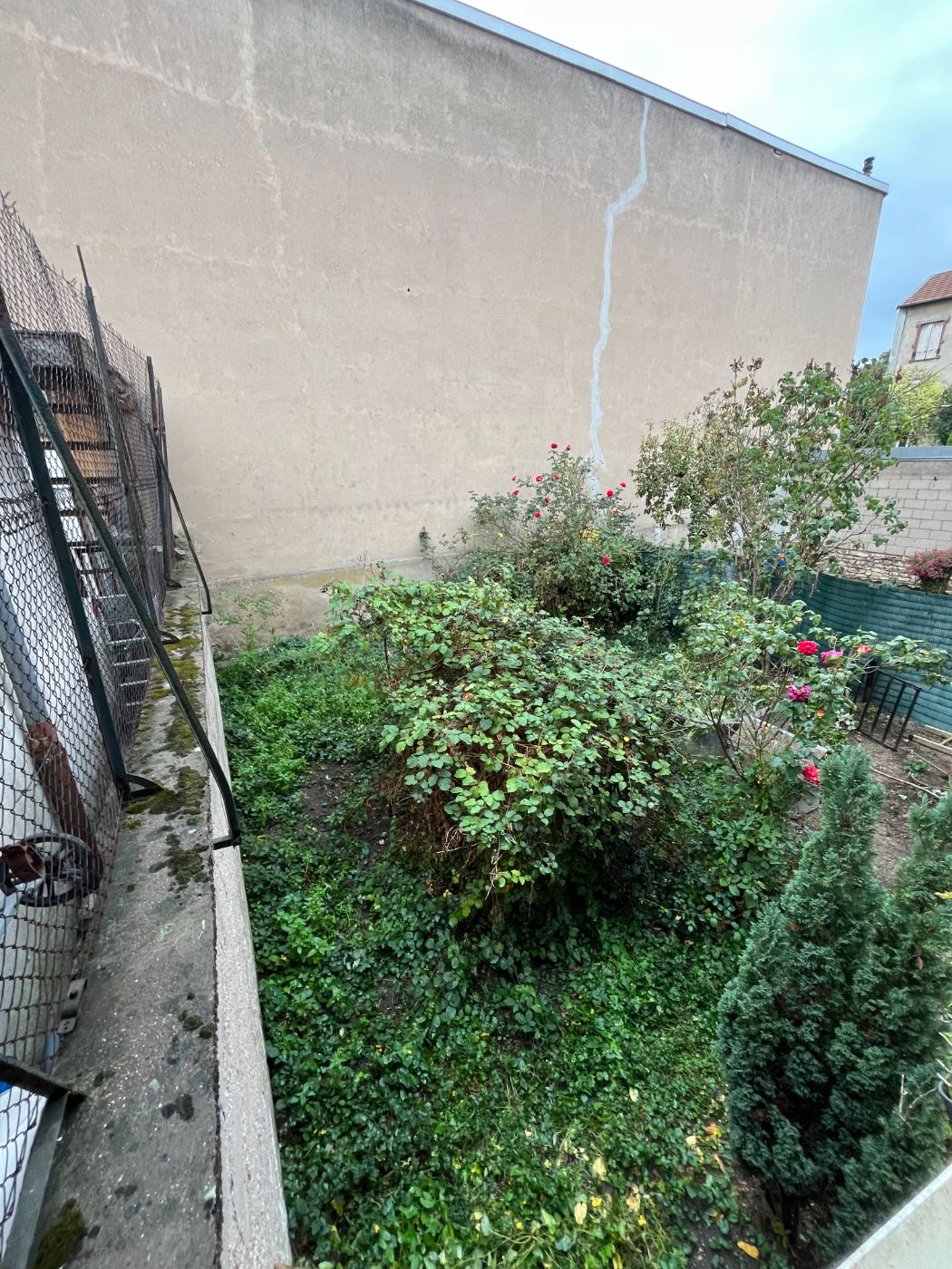 Remise en état complète d'une parcelle, Nancy, réalisé par Lefebvre Paysage