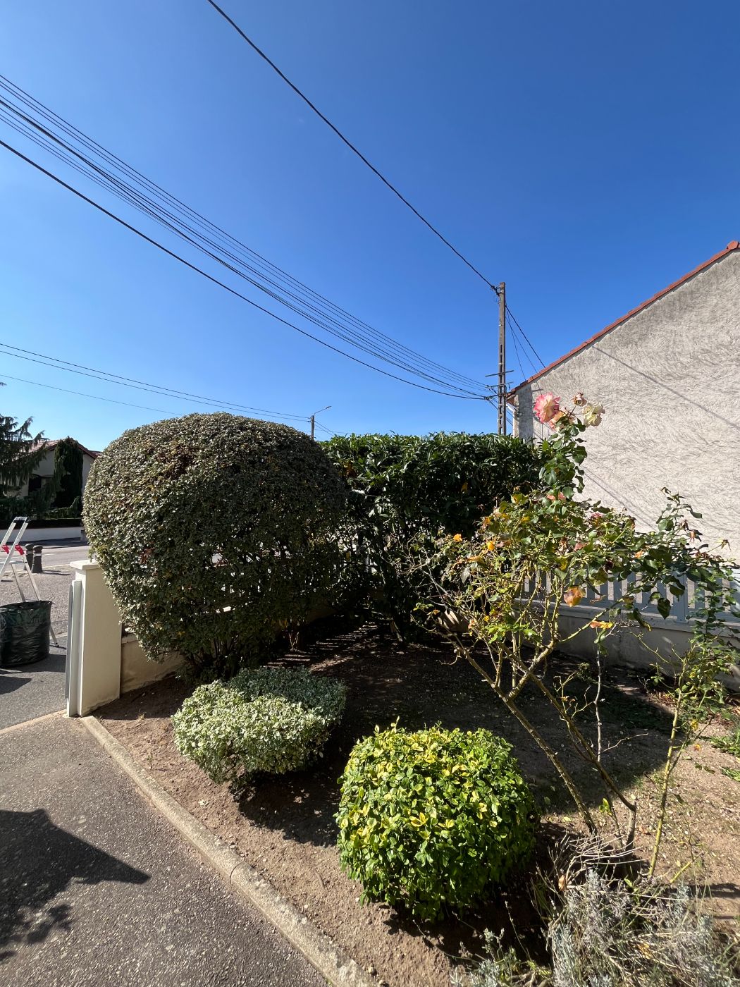 Remise en état paysagère : taille de haies et taille architecturale globale, Flavigny-sur-Moselle, réalisé par Lefebvre Paysage