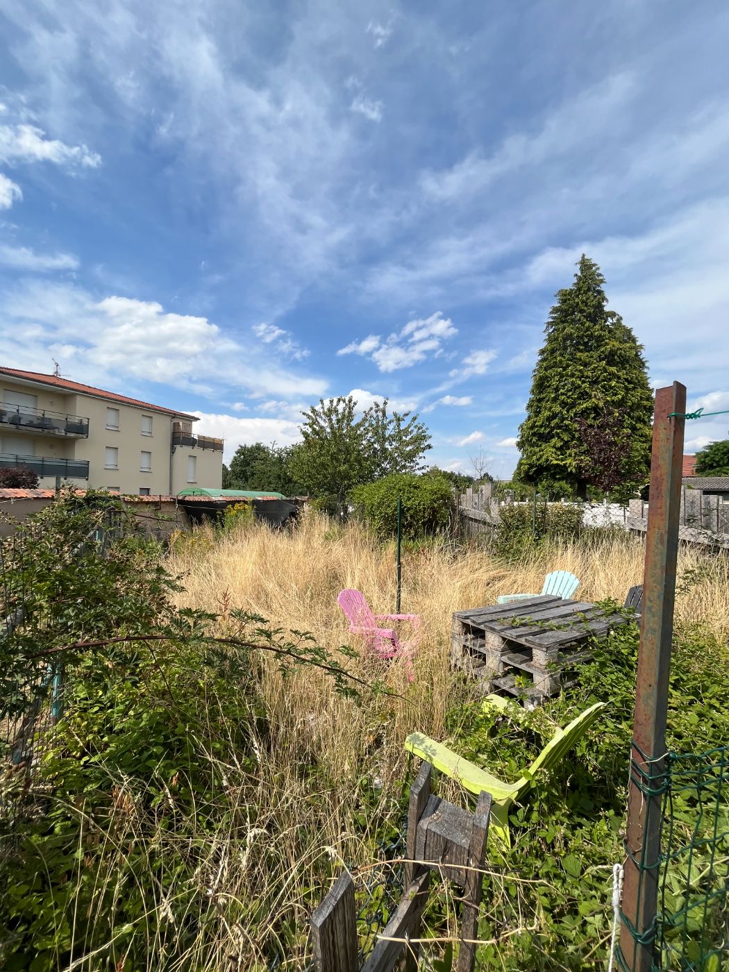Débroussaillage d'un jardin et évacuation des déchets verts, Lunéville, réalisé par Lefebvre Paysage