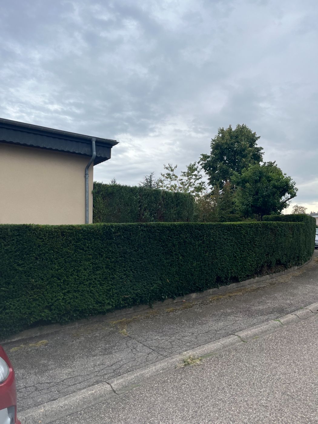 Taille et mise en forme d’une haie d’ifs, avec évacuation des déchets verts, Villers-lès-Nancy, réalisé par Lefebvre Paysage