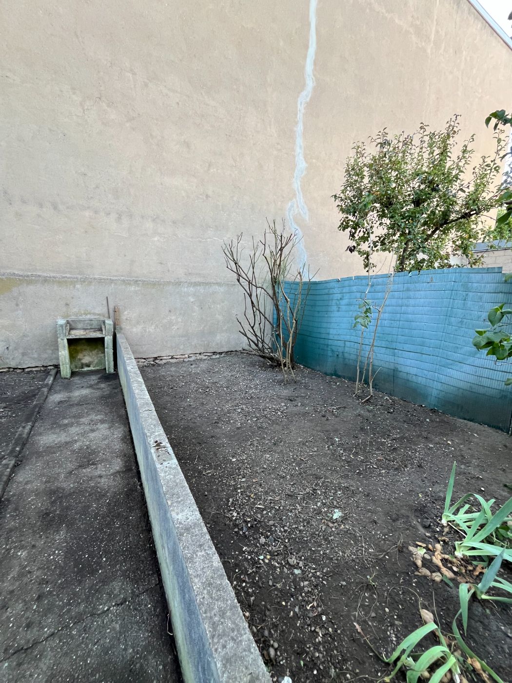 Remise en état complète d'une parcelle, Nancy, réalisé par Lefebvre Paysage