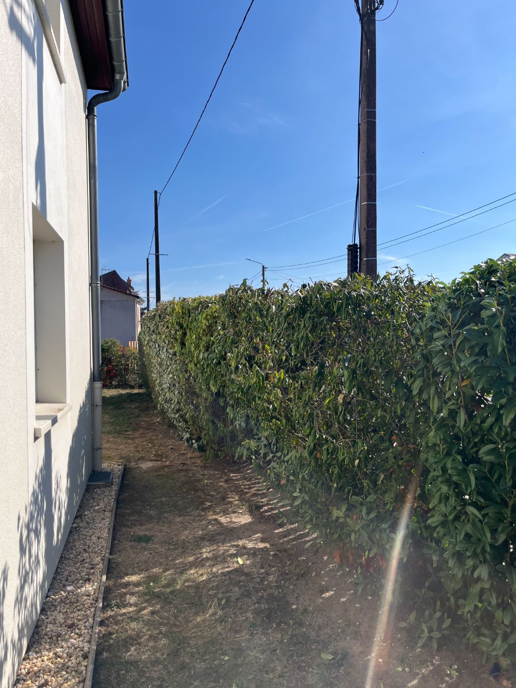Remise en état paysagère : taille de haies et taille architecturale globale, Flavigny-sur-Moselle, réalisé par Lefebvre Paysage