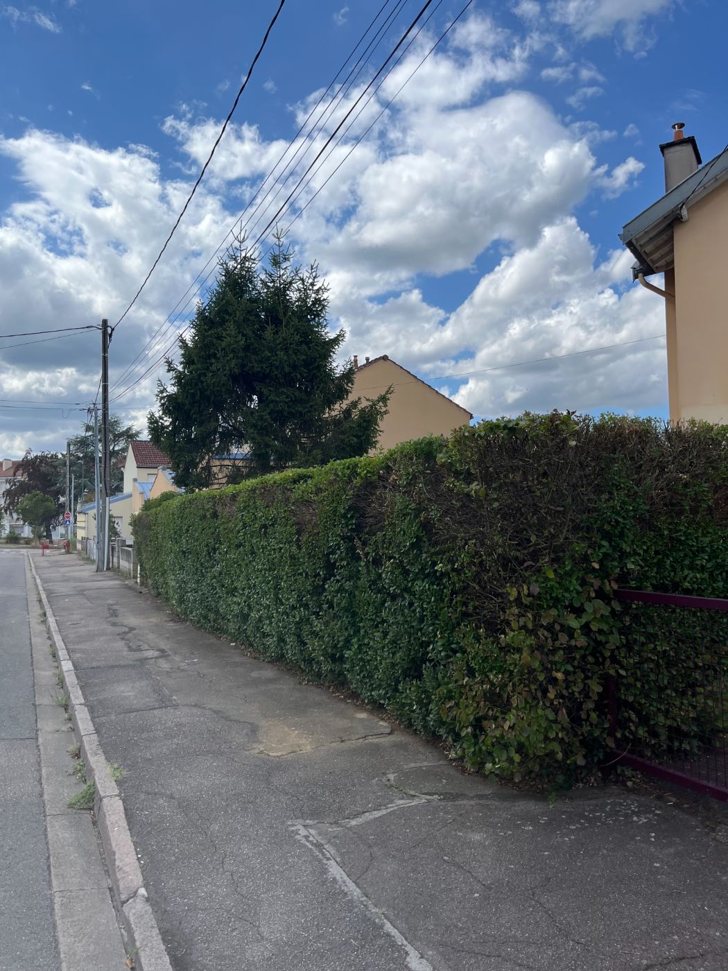Chantier de Taille de haie réalisé à Nancy par Lefebvre Paysage, paysagiste du réseau Factotum