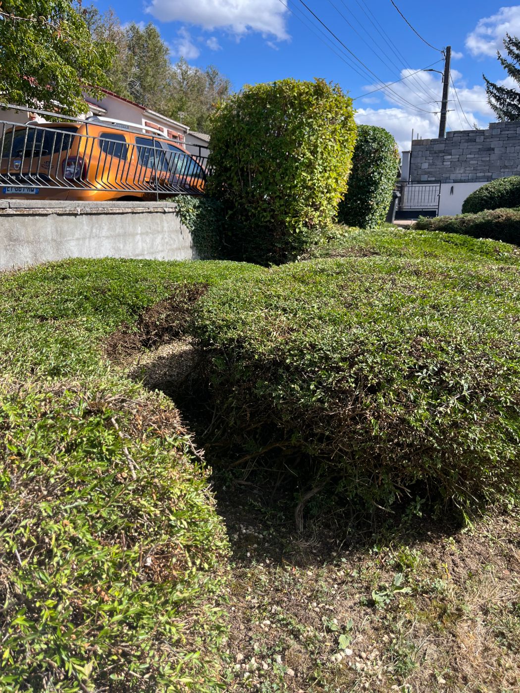 Chantier de Évacuation de déchets verts réalisé à Neuves-Maisons par Lefebvre Paysage, paysagiste du réseau Factotum