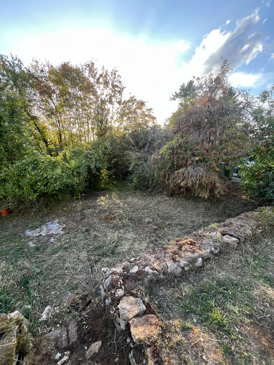 Remise en état et débroussaillage complet d'un terrain en friche, Lay-Saint-Christophe, réalisé par Lefebvre Paysage