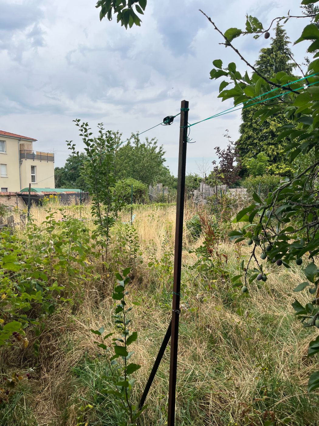Débroussaillage d'un jardin et évacuation des déchets verts, Lunéville, réalisé par Lefebvre Paysage