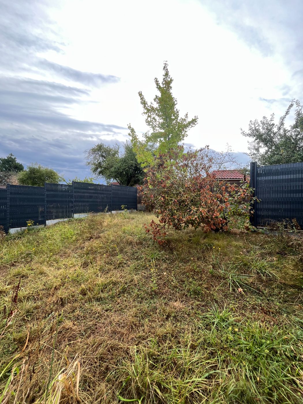 Nettoyage d'une terrasse et débroussaillage d'un jardin avec évacuation des déchets verts, Saulxures-lès-Nancy, réalisé par Lefebvre Paysage