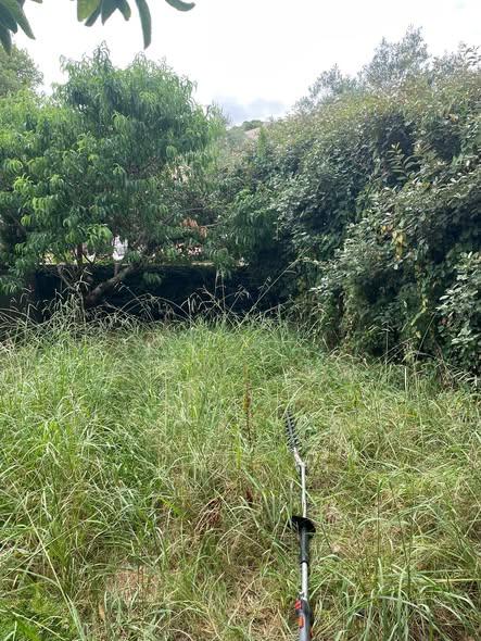 Chantier réalisé par LES JARDINS D'OIHAN