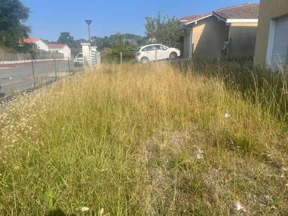Chantier réalisé par LES JARDINS D'OIHAN