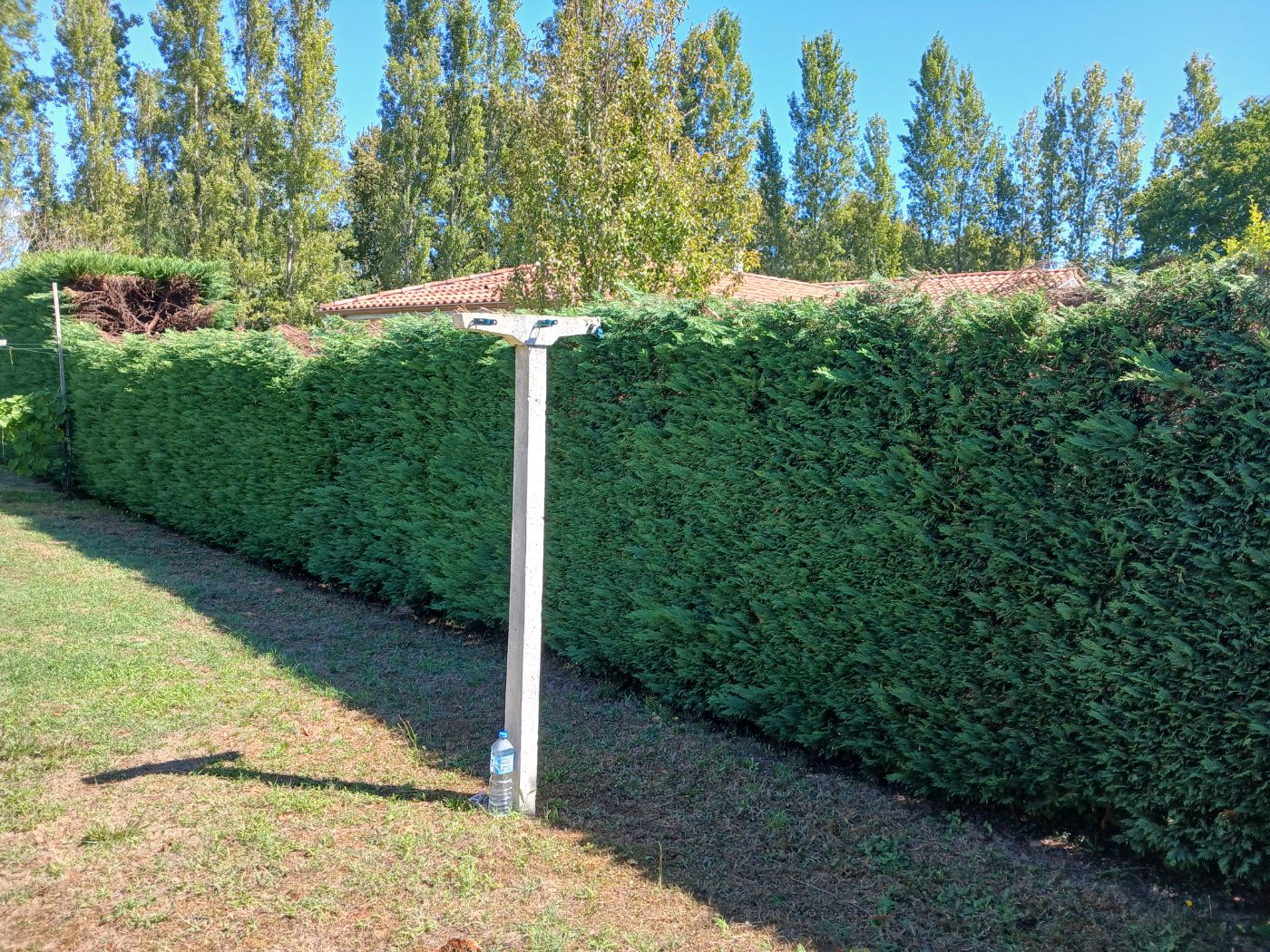 rabattage de haie, Hinx, réalisé par les jardins landais