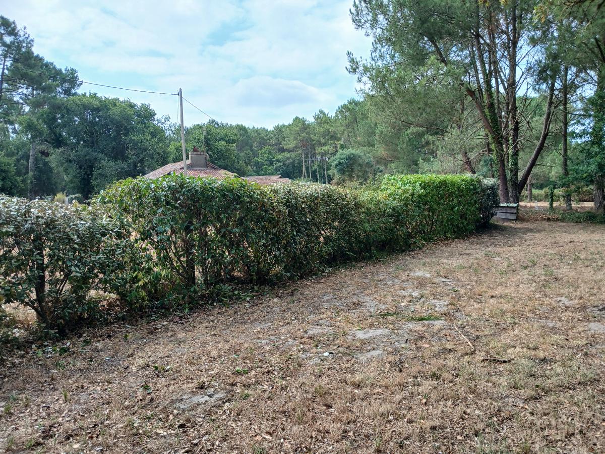 Chantier d'entretien de jardin réalisé par les jardins landais, paysagiste du réseau Factotum, près de Dax