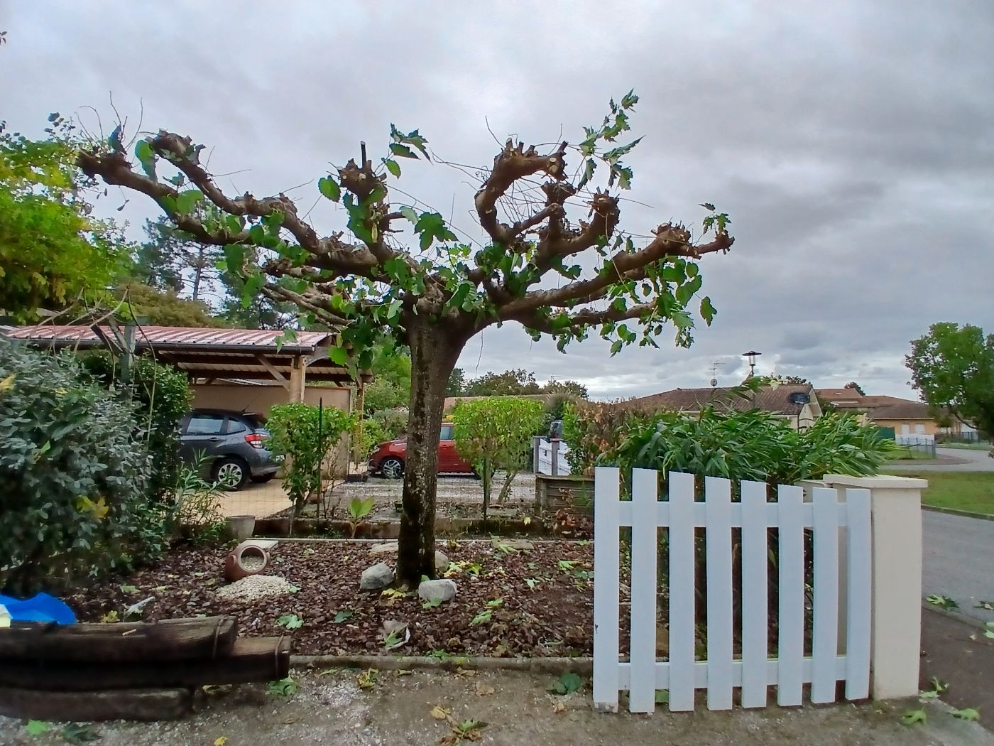 mise au propre avant hiver, Saint-Paul-lès-Dax, réalisé par les jardins landais