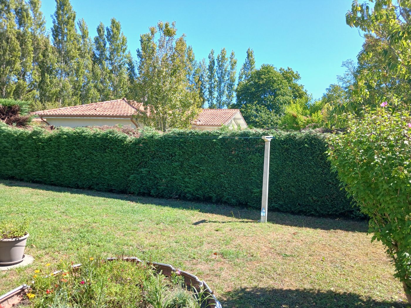 rabattage de haie, Hinx, réalisé par les jardins landais