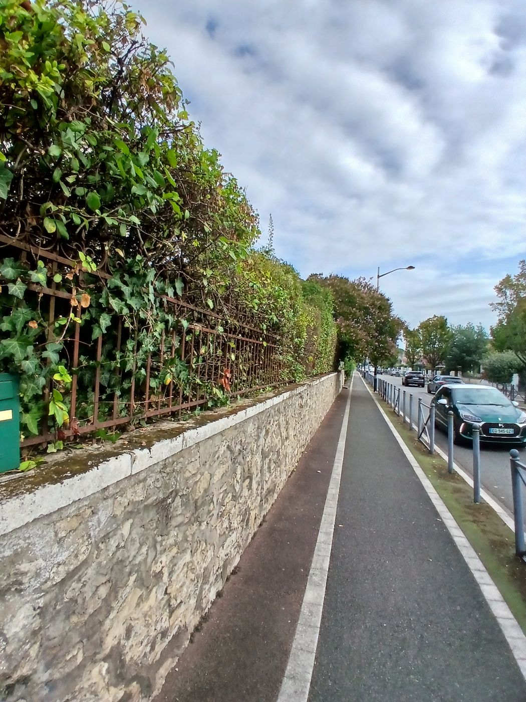 taille de haie, désherbage, Dax, réalisé par les jardins landais