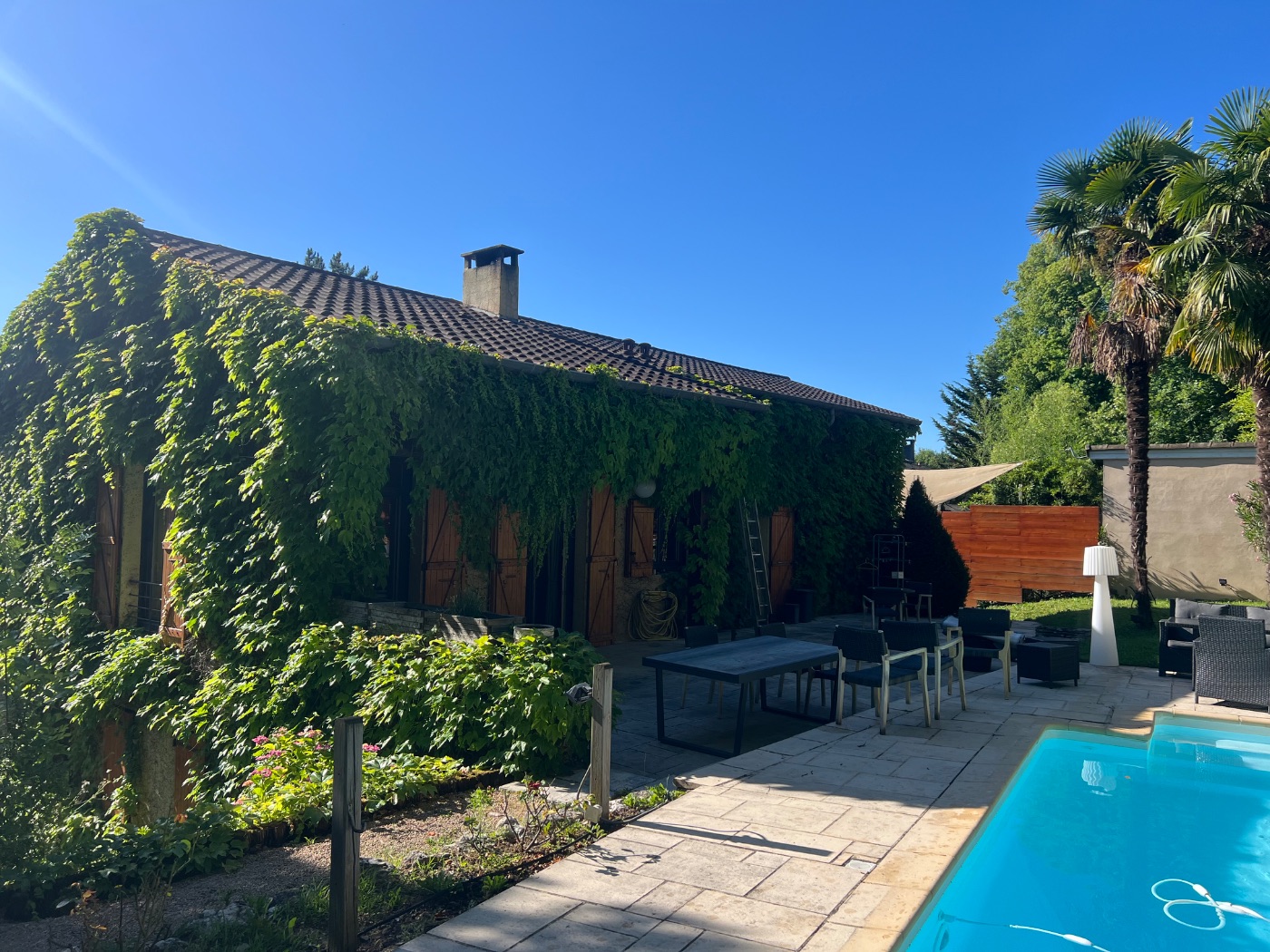 Taille d’une vigne vierge, Saint-Didier-au-Mont-d'Or, réalisé par Lohmgarden