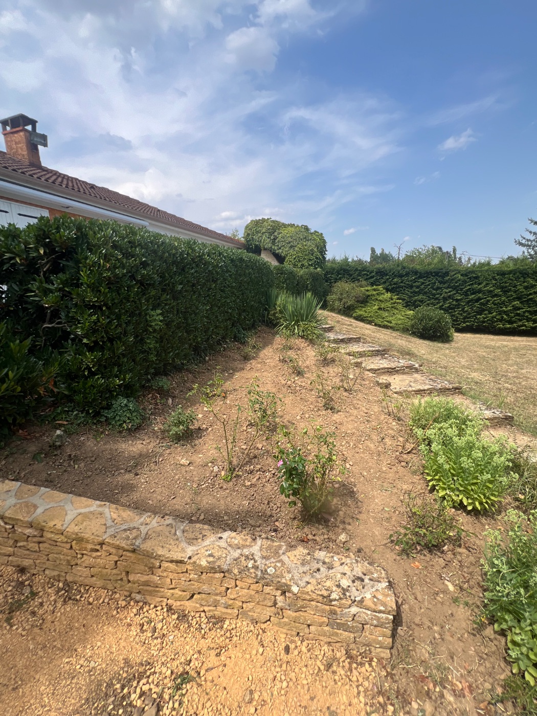 Entretien de jardin à l’année, Limas, réalisé par Lohmgarden