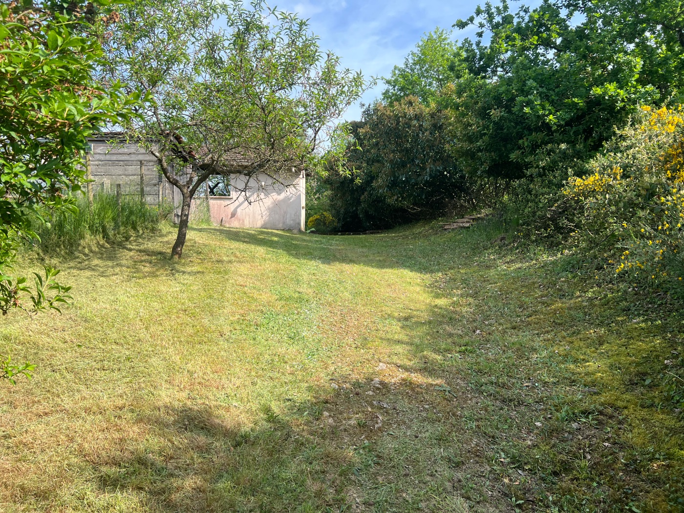 Débroussaillage à Chamelet, réalisé par Lohmgarden