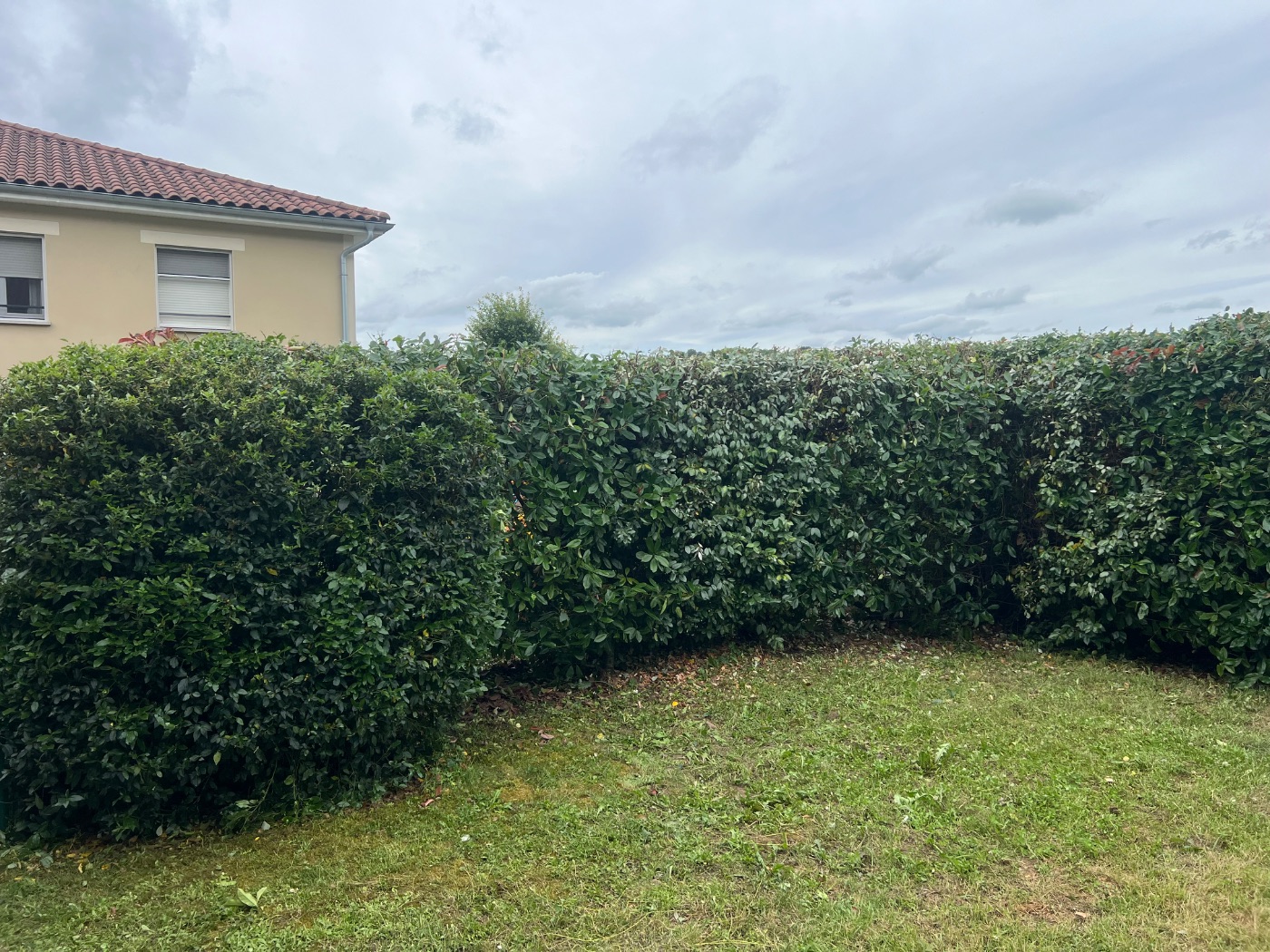 Taille de haie, Beynost, réalisé par Lohmgarden