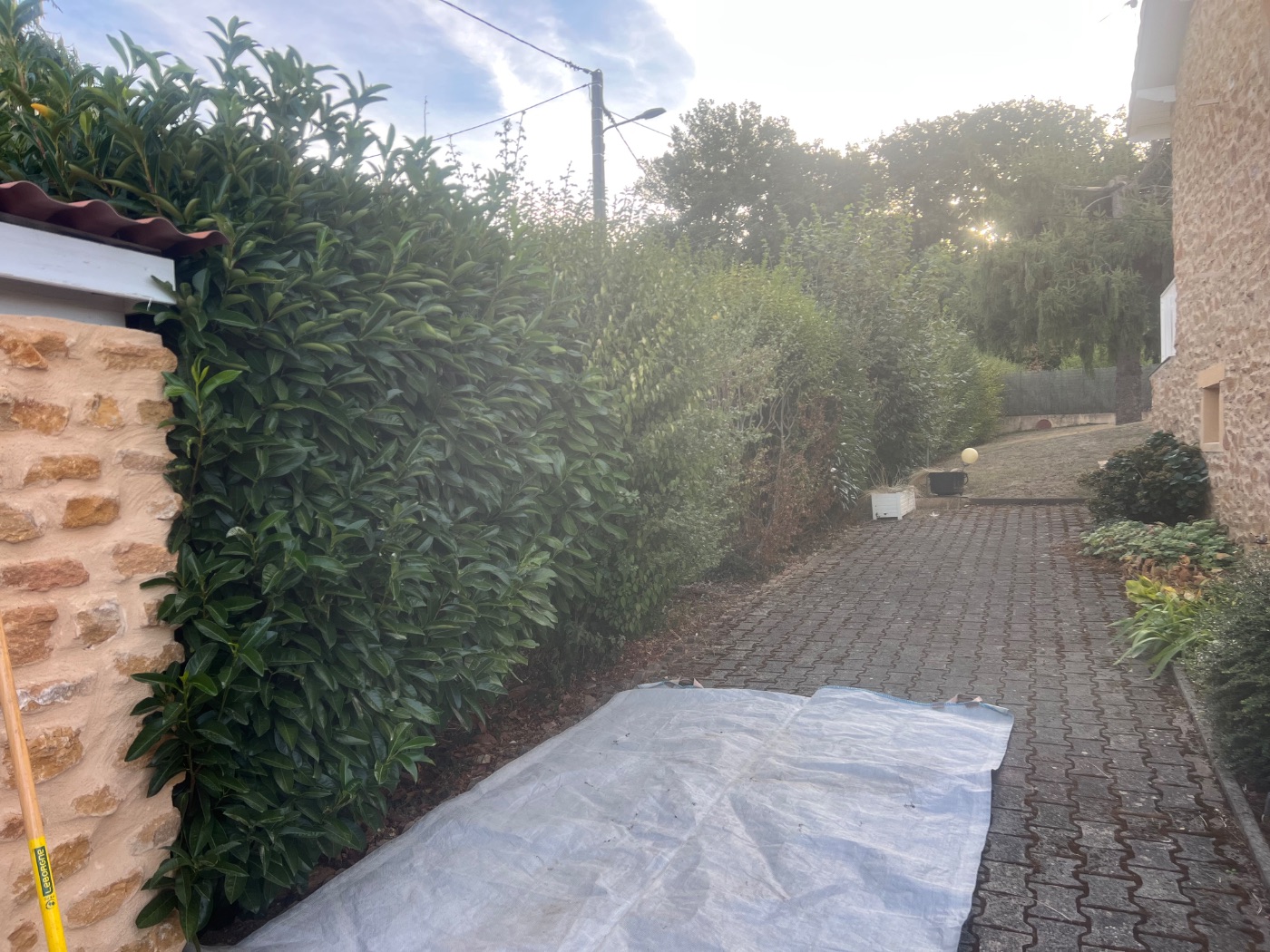 Taille de haie à Alix, Alix, réalisé par Lohmgarden