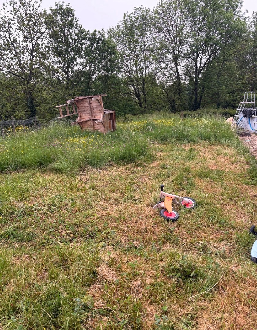 Avant intervention de Lohmgarden , paysagiste du réseau Factotum à Lachassagne