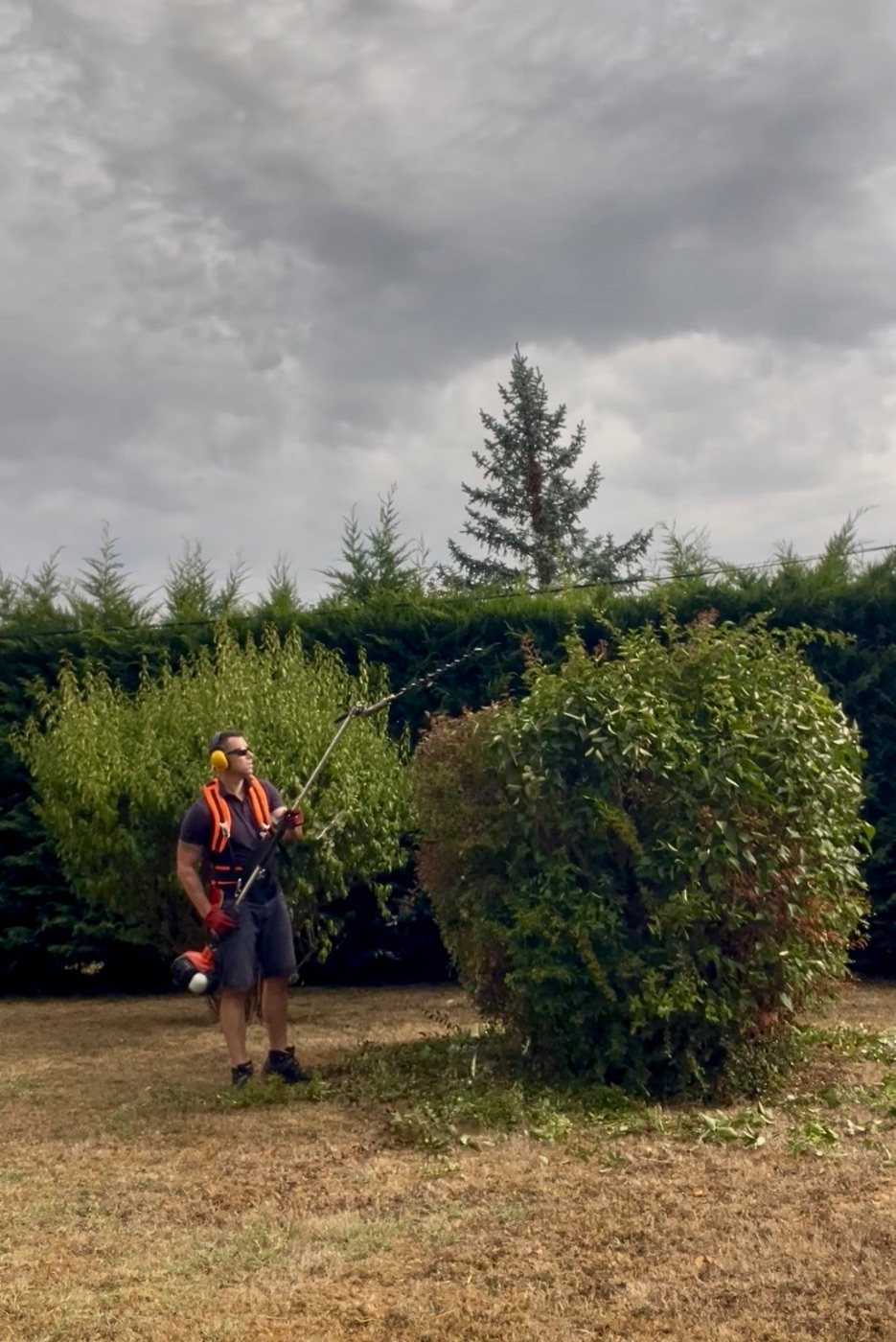 guillaume, Lohmgarden , paysagiste du réseau Factotum