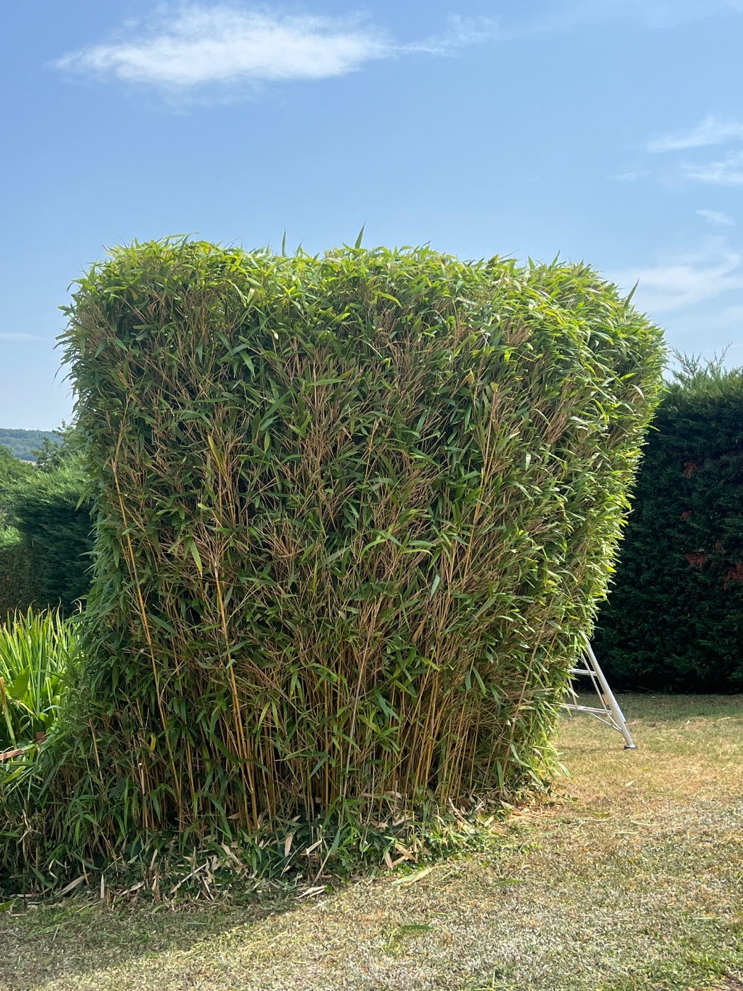 Entretien de jardin à l’année, Limas, réalisé par Lohmgarden