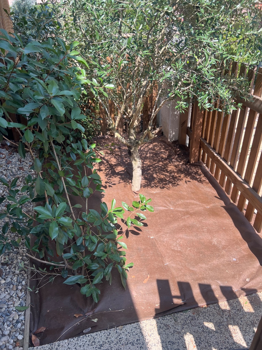 Création ., Civrieux-d'Azergues, réalisé par Lohmgarden