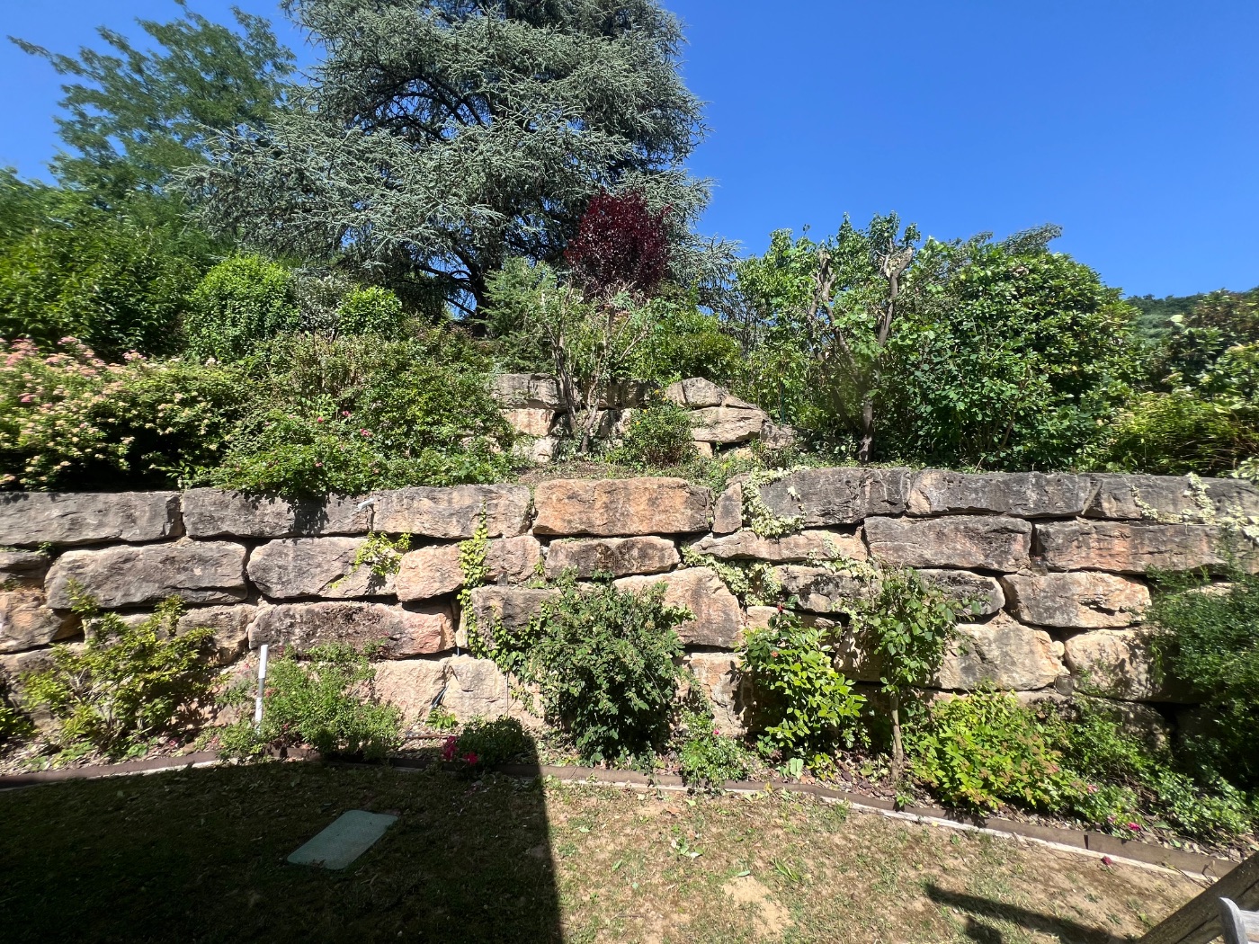 Entretien de jardin, Fontaines-Saint-Martin, réalisé par Lohmgarden