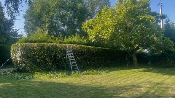 Taille de haie à Montauban, réalisé par Marca Paysage
