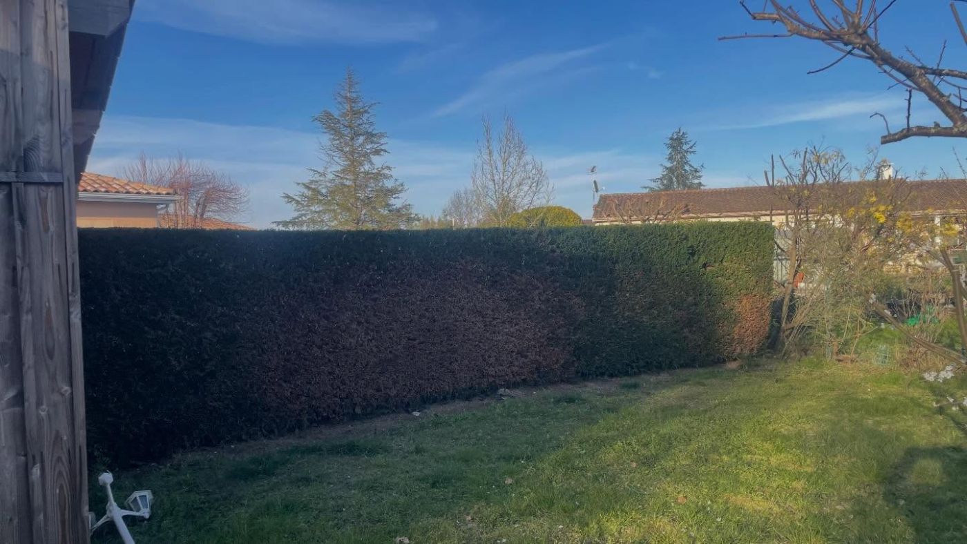 Après intervention de Marca Paysage