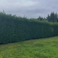 Chantier d'entretien de jardin réalisé par Marca Paysage, paysagiste du réseau Factotum, près de Saint-Étienne-de-Tulmont