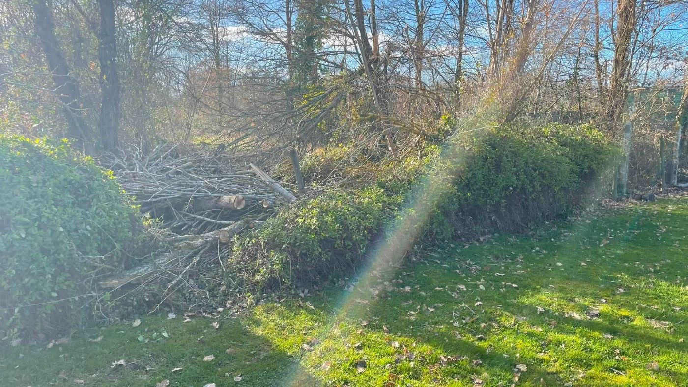 Création paysagère à Bressols, réalisé par Marca Paysage