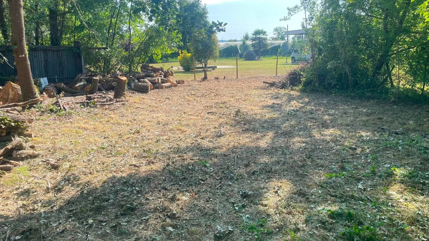 Création paysagère à Bressols, réalisé par Marca Paysage