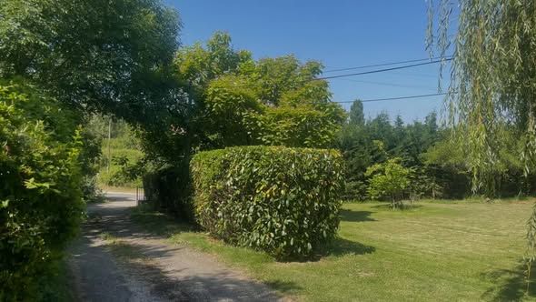 Taille de haie à Montauban, réalisé par Marca Paysage