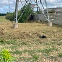 Débroussaillage à Montbeton, réalisé par Marca Paysage