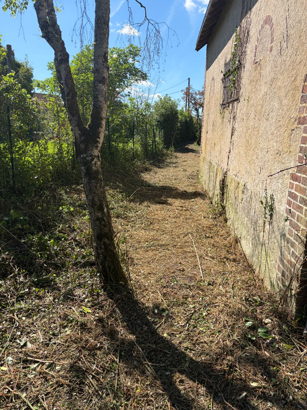 🌿 Remise en état complète à Morand 🌿, réalisé par Nico services