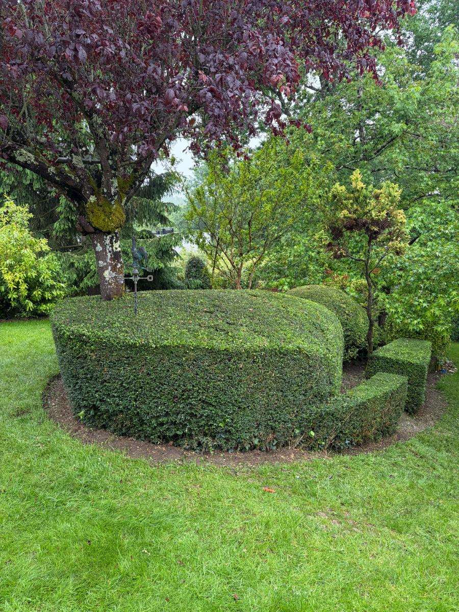 Chantier d'entretien de jardin réalisé par Nico services, paysagiste du réseau Factotum, près de Chançay