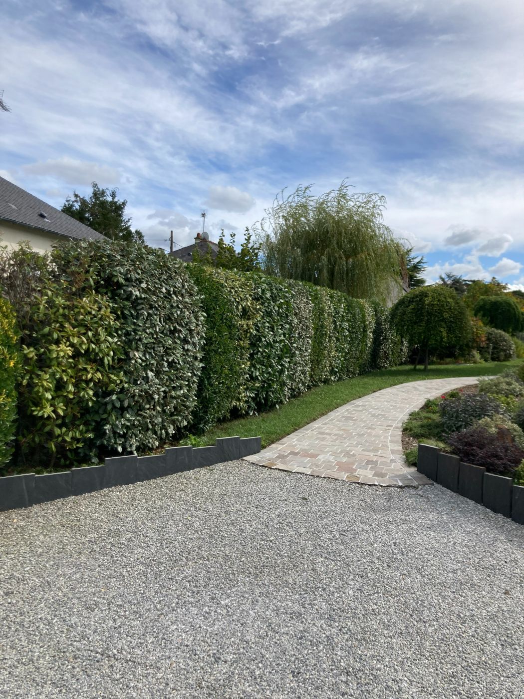 Taille de haie à Amboise, réalisé par Nico services