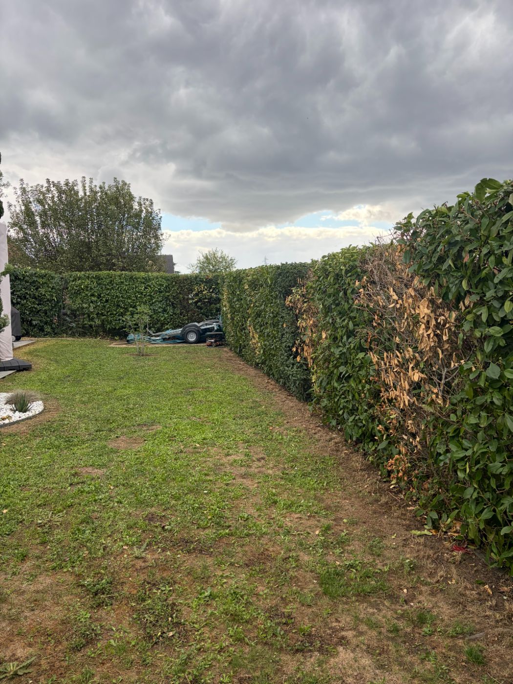 Taille de haie à Larçay, réalisé par Nico services