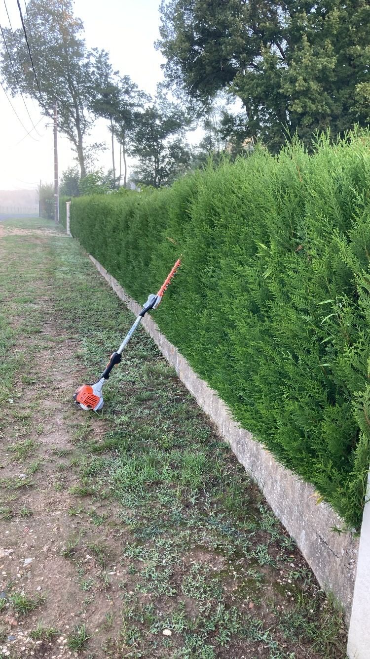 Taille de haie à Vernou-sur-Brenne, réalisé par Nico services
