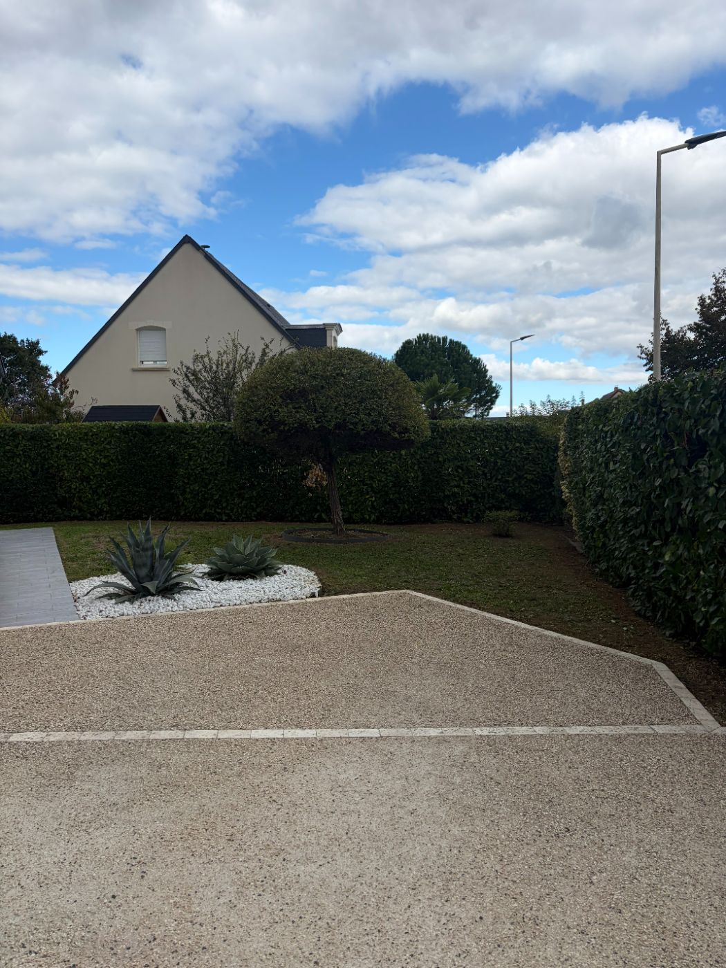 Taille de haie à Larçay, Larçay, réalisé par Nico services