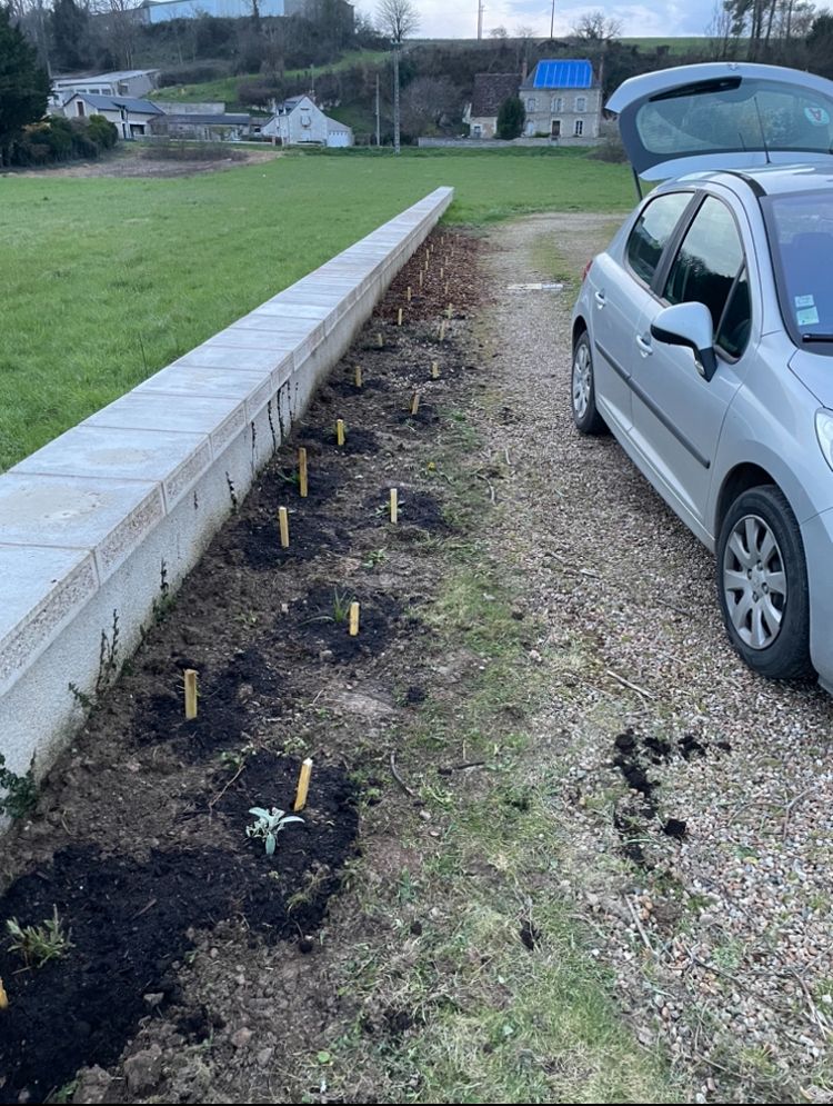 Plantation de vivaces – Jardin facile & sans arrosage, Chançay, réalisé par Nico services